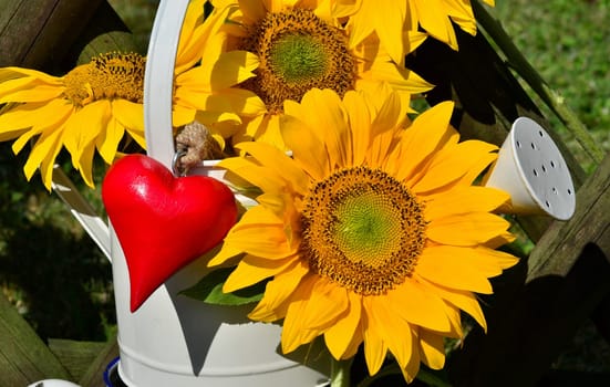 Sunflower Heart Love