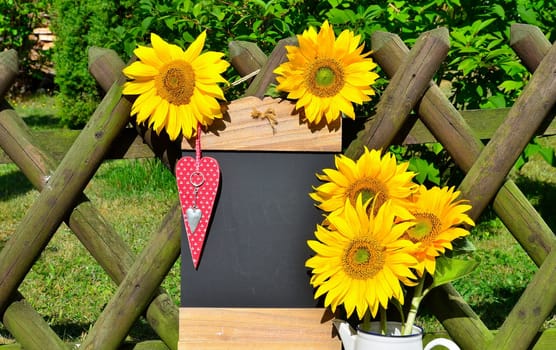 Sunflower Garden Fence Garden