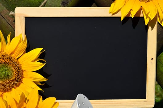 Sunflower Garden Fence Garden