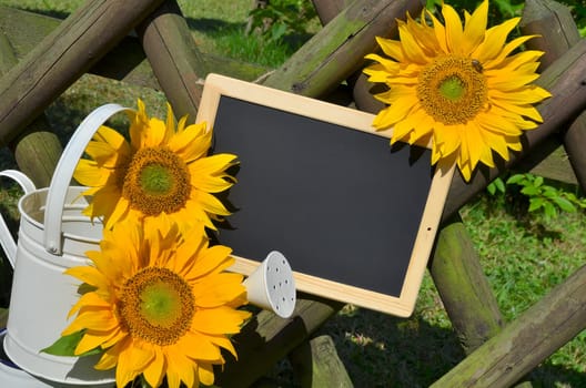 Sunflower Garden Fence Garden