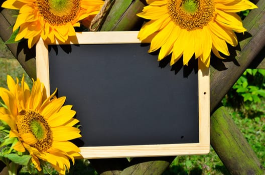 Sunflower Garden Fence Garden