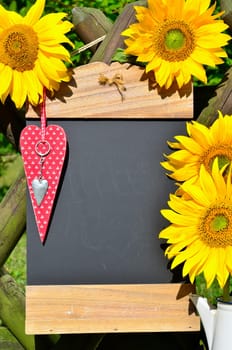 Sunflower Garden Fence Garden