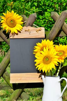 Sunflower Garden Fence Garden