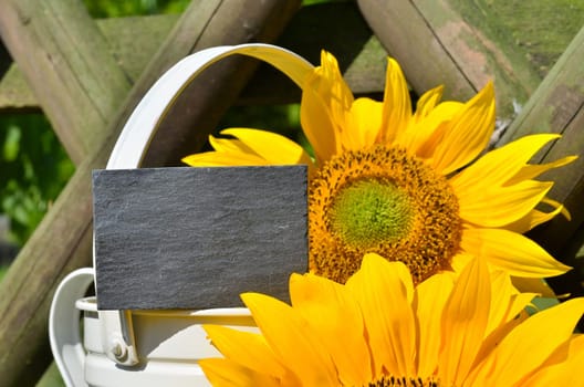 Sunflower Garden Fence Garden