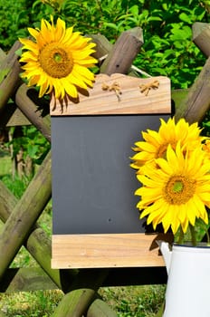 Sunflower Garden Fence Garden