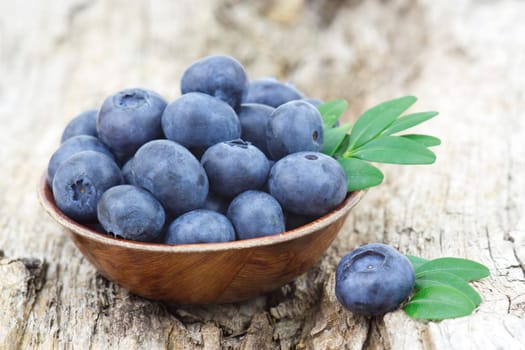 fresh blueberries in a bowl