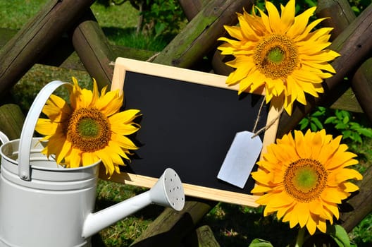Sunflower Garden Fence Garden