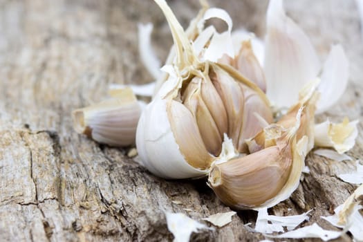fresh garlic