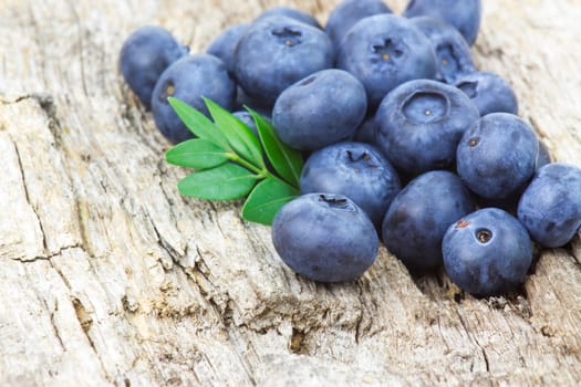 fresh blueberries