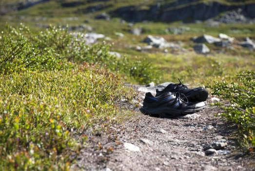 A Hiking Trail With Sneakers on it in the Nature