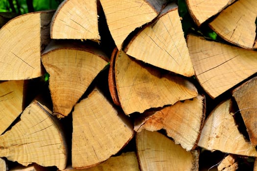 Firewood