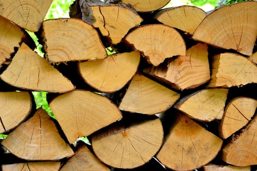 Firewood