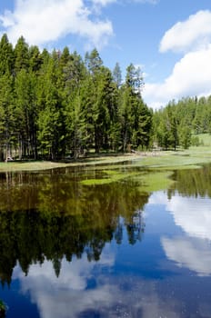 Lake in Yellowstone National Park in Wyoming
