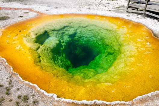 Morning Glory Pool in Yellowstone National Park in Wyoming
