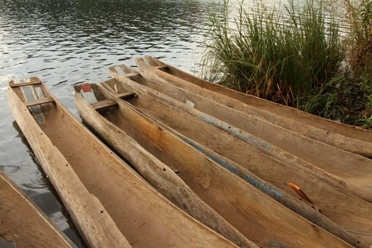 A group of Dugout canoes waiting on a lake shore.
