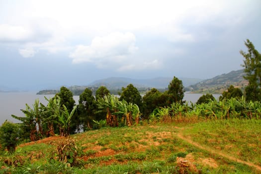 A meadow moving towards the shore of an Island on Lake Bunyoni, Uganda