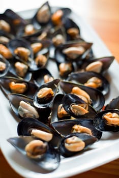 Fresh mussels on a plate close up