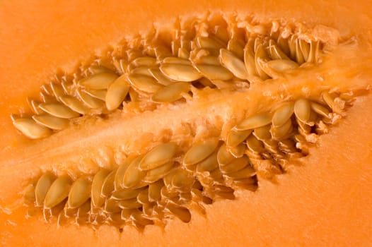 freshly cut yellow melon close up shoot