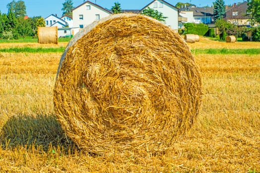 Straw bales
