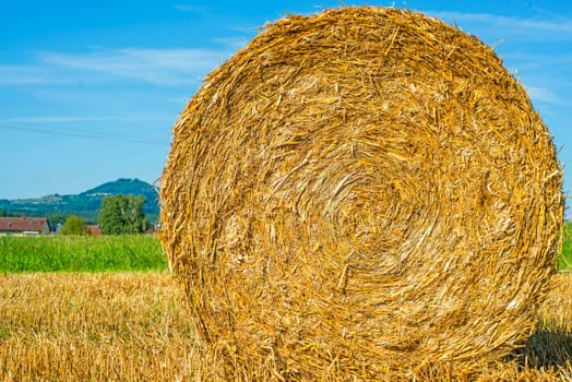 Straw bales