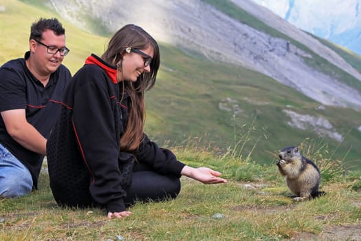 A trusting marmot