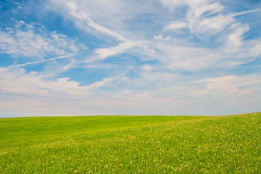 green meadow with blue sky