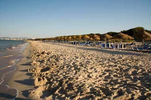 Umbrellas and deckchairs on the beach of Alcudia of Mallorca
