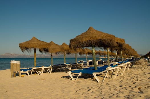 Umbrellas and deckchairs on the beach of Alcudia in Mallorca