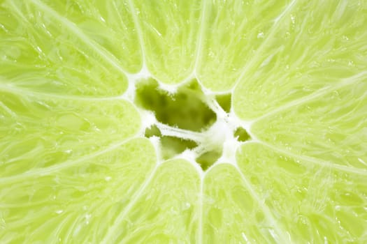 Lime/lime in cross-section juicy fresh