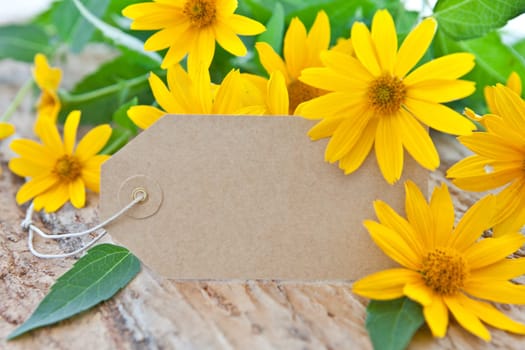 Cardboard trailer with yellow autumn flowers / Common coneflower