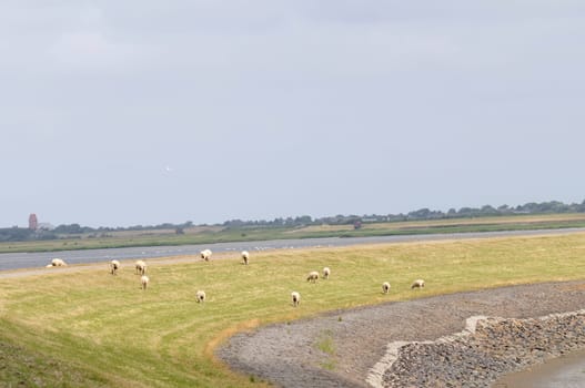 Rantum Basin