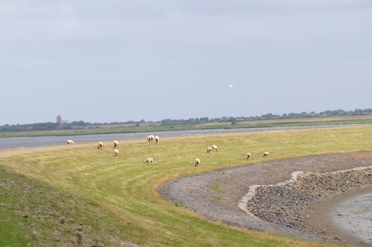 Rantum Basin