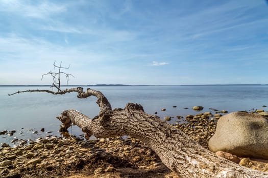 by the sea