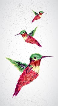 Trendy humming bird