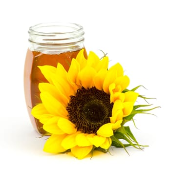 honey and sunflower on white background