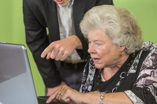 Elderly lady and young man working together on the laptop.