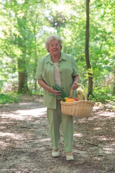 Elderly lady with shopping basket while walking