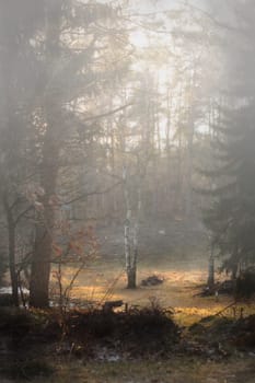 Clearing