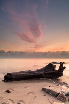 by the sea