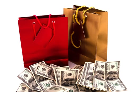 A gold and a red gift bag with dollars, isolated.