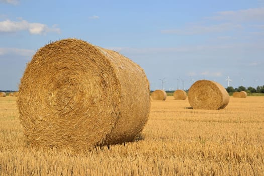 Straw in a field