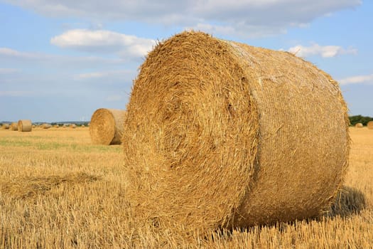 Straw in a field