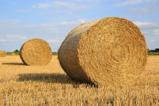 round straw bales in a field