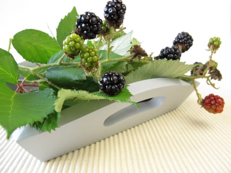 Still life with wild blackberries