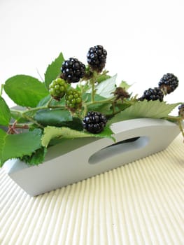 Still life with wild blackberries