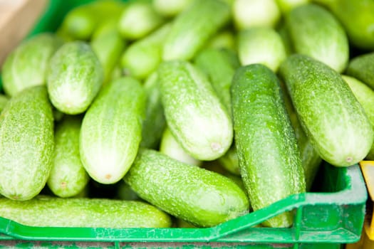 Closeup of fresh green cucumbers on sale at produce market
