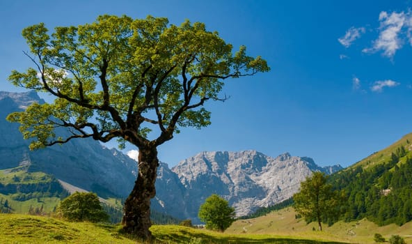 Grosser Ahornboden,Karwendel