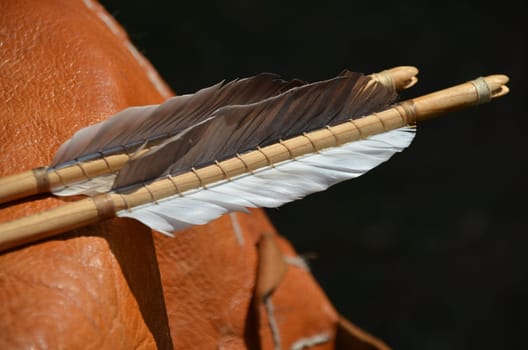 Swept feathers