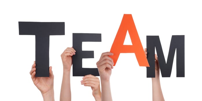 Many Hands Holding a Black and Orange Team, Isolated