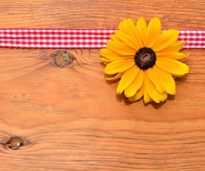 Flower Band Wood Background